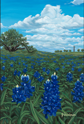 Bluebonnet Blanket